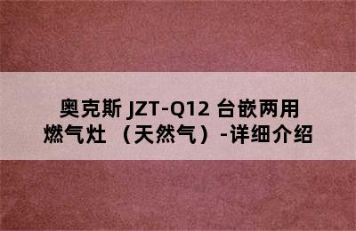 奥克斯 JZT-Q12 台嵌两用燃气灶 （天然气）-详细介绍